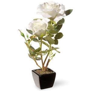 12.5 White Rose Flower