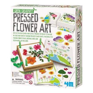 4M Green Creativity Pressed Flower Art Kit - Arts & Crafts Diy Recycle Floral Press Gift For Kids & Teens, Girls & Boys